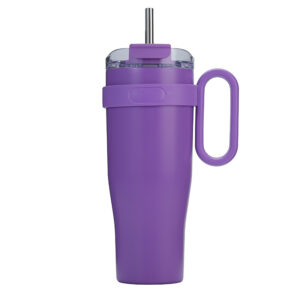 2-in-1 Insulated Stainless Steel Tumbler with Handle and Straw