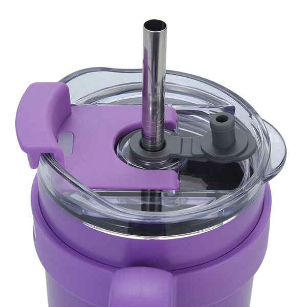 2-in-1 Insulated Stainless Steel Tumbler with Handle and Straw